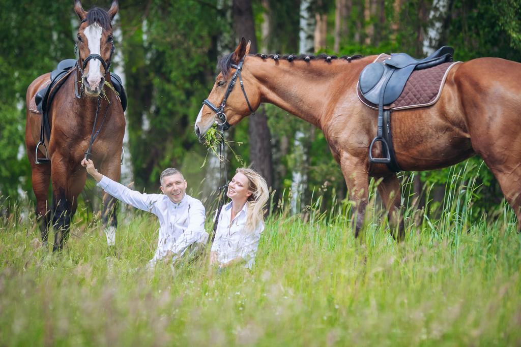 Hubertus Aparthotel & Restaurant & Horse Club Starogard Gdański 객실 사진
