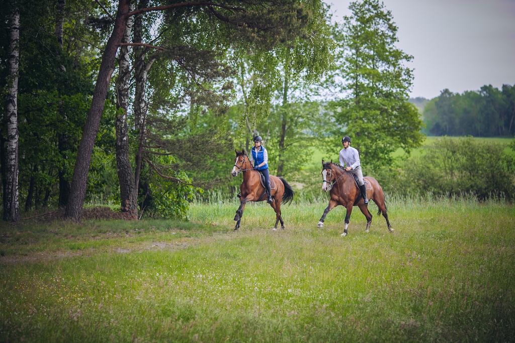 Hubertus Aparthotel & Restaurant & Horse Club Starogard Gdański 외부 사진
