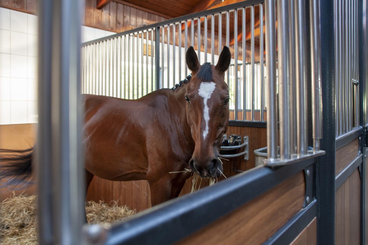 Hubertus Aparthotel & Restaurant & Horse Club Starogard Gdański 외부 사진